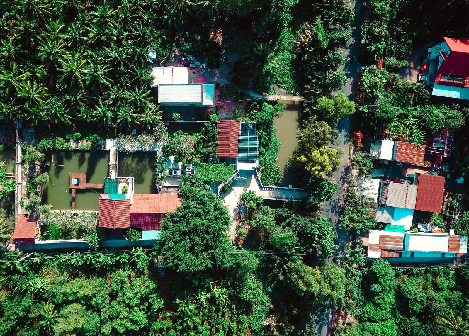 bird's-eye view photo of houses in between of grass field